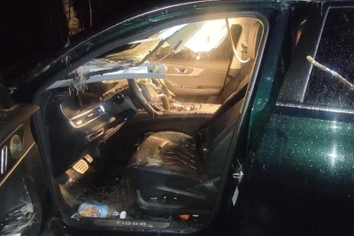 Женщина травмирована после наезда на лося в Курганской области