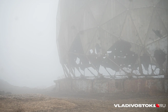 Источник: Елена Буйвол / VLADIVOSTOK1.RU