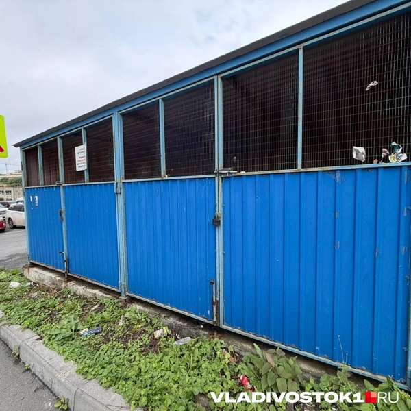 Источник: Читательница VLADIVOSTOK1.RU