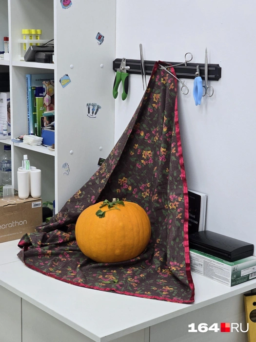 Крыс тут фотографировали к Хеллоуину | Источник: Семен Коротов-Майбах / 164.RU