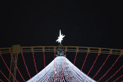 Туляка оштрафовали за сравнение звезды на ёлке