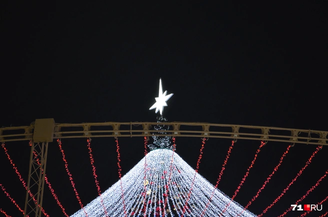 Верхушку ёлки украшает «северная звезда» | Источник: Максим Улитов / 71.RU