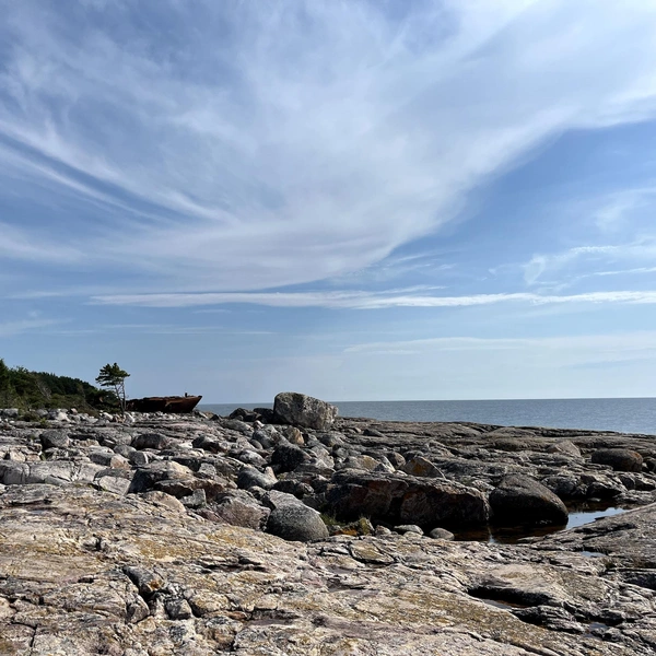 Источник: Нижне-Свирский государственный заповедник
