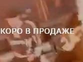 На сайте музыканта тоже есть анонс выступления | Источник: egorkreed.com