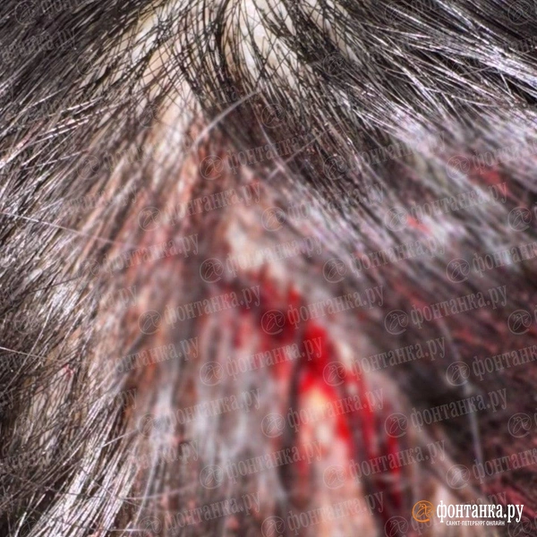 Источник: читательница «Фонтанки» Наталья