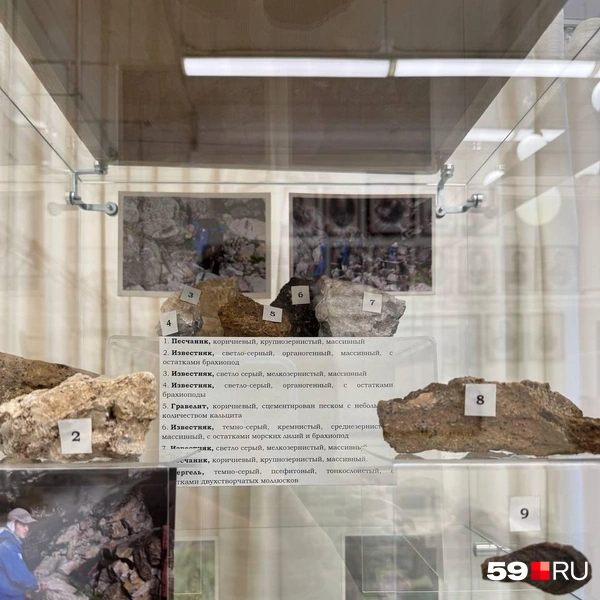 Известняк разных видов | Источник: Наталья Пальникова / 59.RU