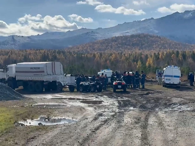В краевой полиции сообщают, что в поисках задействованы более 70 человек | Источник: МВД 24 / Telegram