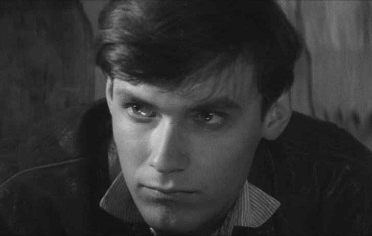 Съемки в «Зимородке» заставили Самойлова влюбиться в кино