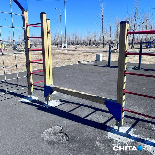 Источник: Александр Хамраев / CHITA.RU