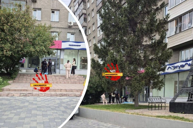 Обстоятельства устанавливаются | Источник: «ЧП Новосибирск»