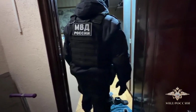 Фальсификат на оборонные предприятия поставляли несколько лет. | Источник: официальный представитель МВД России Ирина Волк