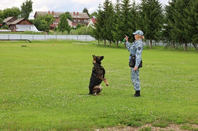 Источник: 43.xn--b1aew.xn--p1ai