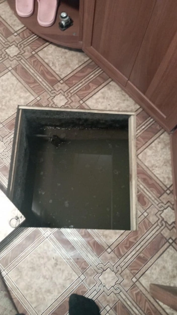 В погребах и подполах — тоже вода | Источник: читательница НГС