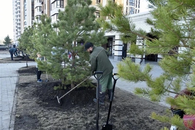 В Барнауле восстановили аллею после вандализма