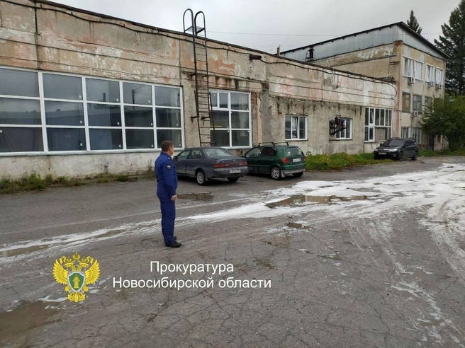 Химия затопила дорогу | Источник: прокуратура Новосибирской области