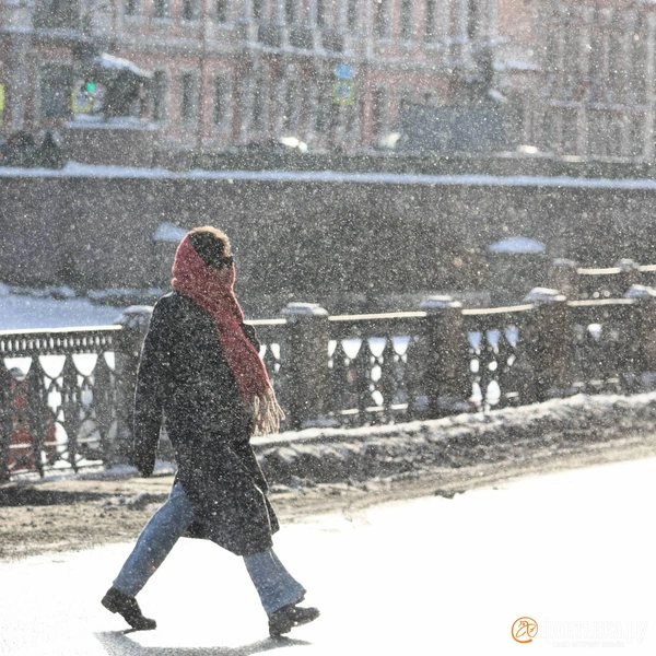 Источник: Сергей Михайличенко / FONTANKA.RU