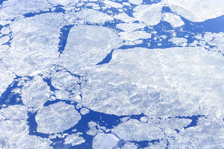 Когда растает лед Северного Ледовитого океана