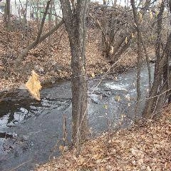 Опасные метеорологические явления на территории Кемеровской области — Кузбасса не ожидаются | Источник: www.city-n.ru