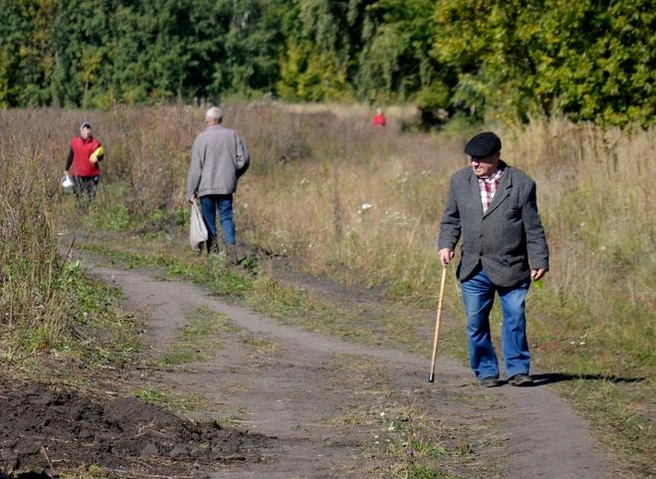 В 2022 году в России изменится порядок выплаты пенсий | ya62.ru