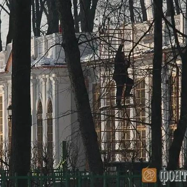 Во время реставрации в саду убрали 90 больных и сухих деревьев, которые уже не удавалось сохранить | Источник: Михаил Огнев / «Фонтанка.ру»