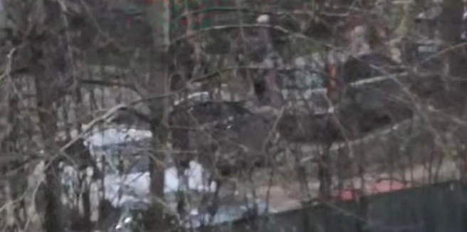 Конфликт снимали на видео очевидцы, но из-за деревьев получился плохой обзор | Источник: Telegram-канал «Топор Рязань»
