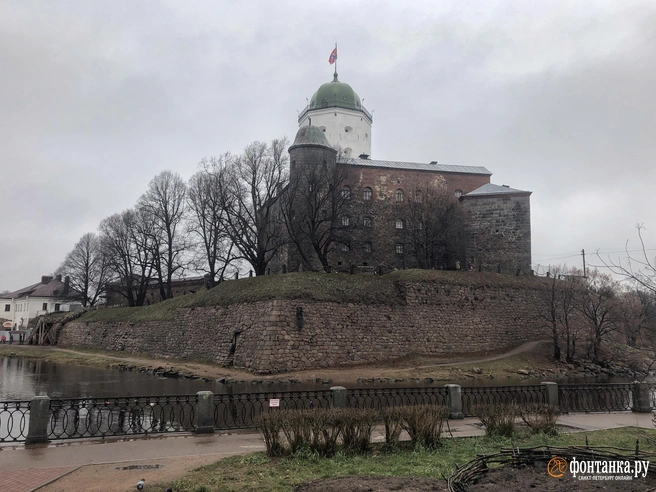 Источник: Павел Каравашкин / FONTANKA.RU