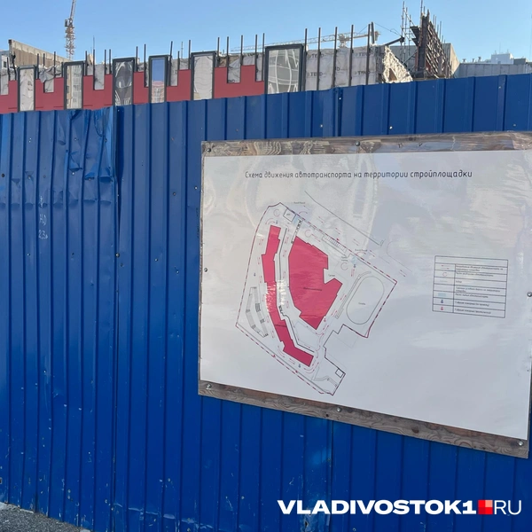 Источник: Елена Буйвол / VLADIVOSTOK1.RU