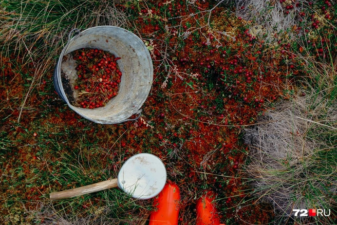 Больше всего устает спина | Источник: Анастасия Малышкина / 72.RU