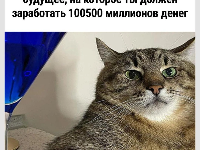 С такой женой придется быть успешным  | Источник: Городские медиа