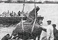 Украденная сказка