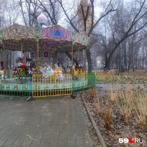 Лук высадили у каруселей | Источник: Наталия Главатских / 59.RU