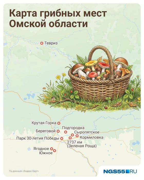 Карта грибных мест Омской области | Источник: Евгения Бикунова / Городские медиа