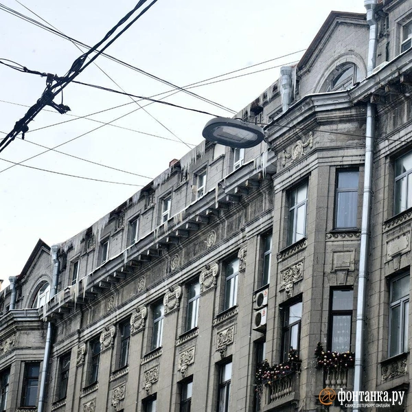 Источник: Ксения Потеева / FONTANKA.RU