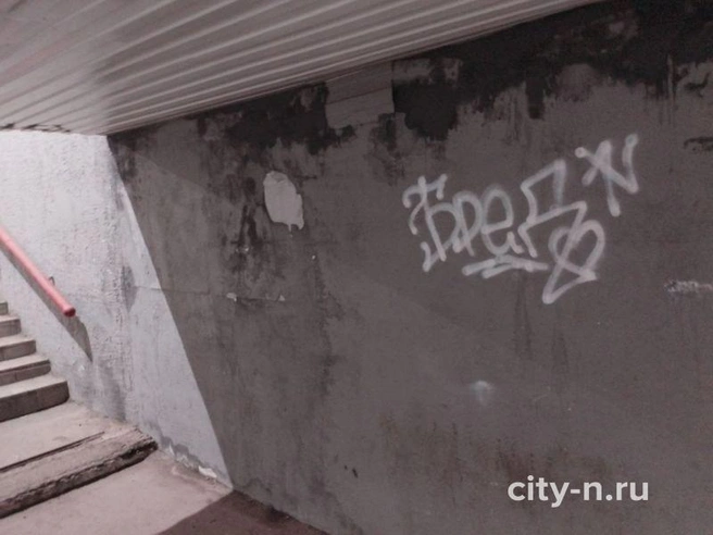 Источник: city-n.ru