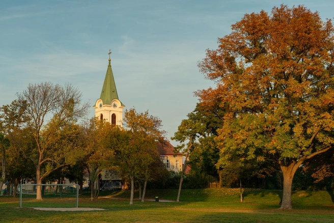 30 октября: День пророка Осии | Источник: istockphoto/Stefan_Rotter
