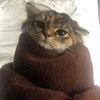 userpic__annkuzann1