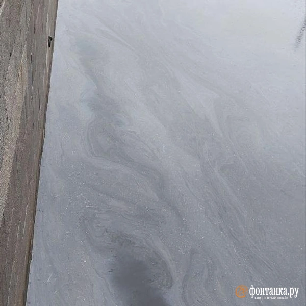 Петербуржцев предупредили о радужной плёнке на воде из-за дождей | Источник: читатель «Фонтанки»