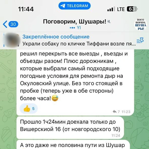 Источник: читатель «Фонтанки» / паблик «Поговорим, Шушары»