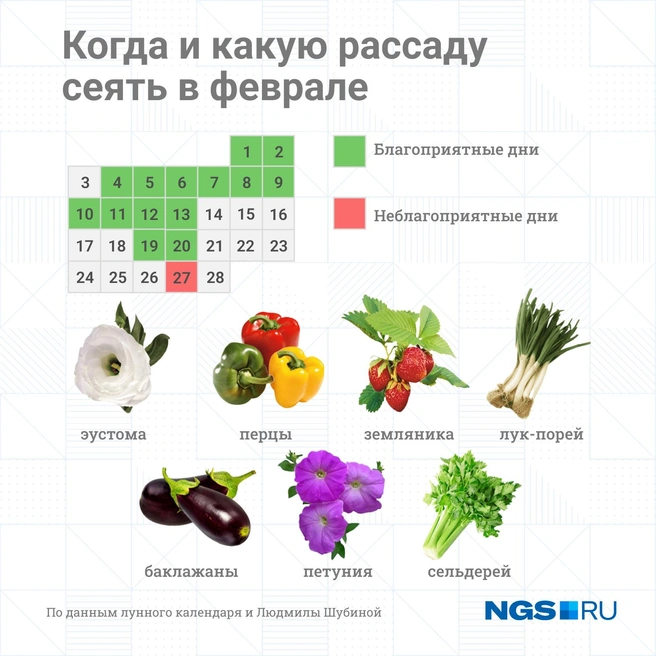 В феврале начинается посевной сезон | Источник: Юрий Орлов / NGS.RU