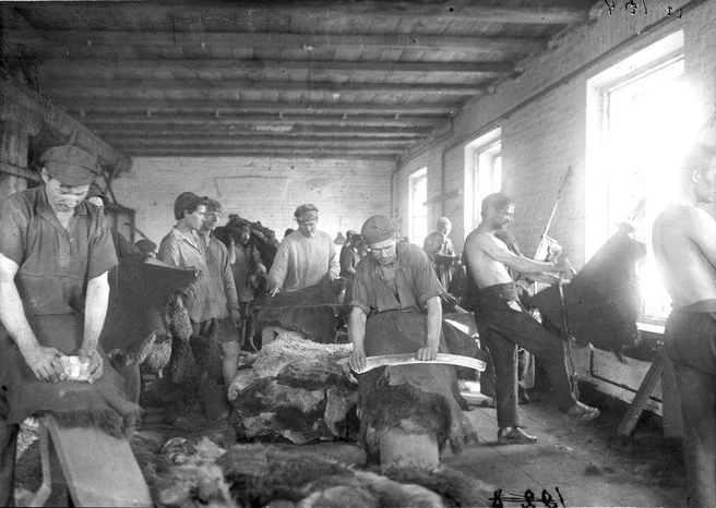 Омичи трудятся на овчинно-шубном заводе. Фото 1925–1930-х годов | Источник: Фонд ОГИК / Pastvu.com