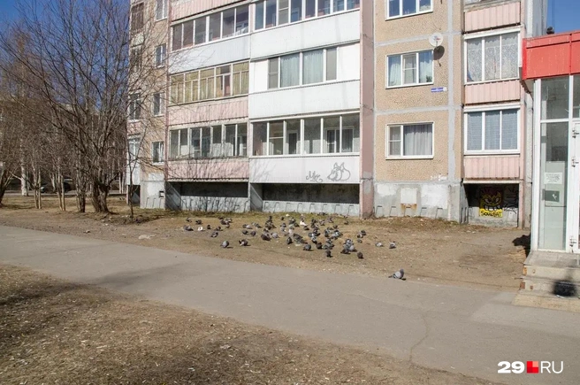 Источник: Александр Тонких