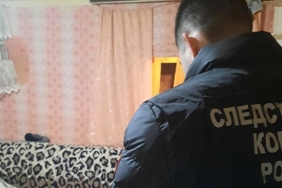 Суд вынес приговор жительнице Никифоровского округа за убийство мужа