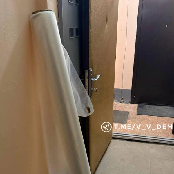 Источник: телеграм-канал Валентина Демидова