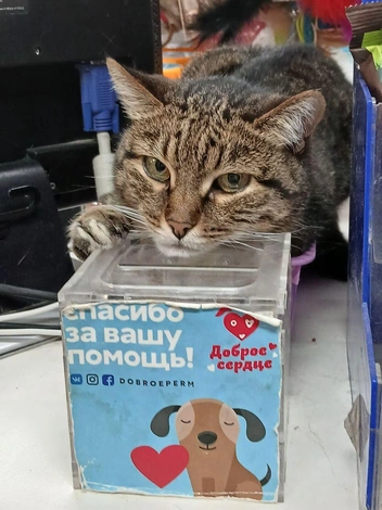 Настоящая сотрудница магазина! | Источник: предоставлено Мариной