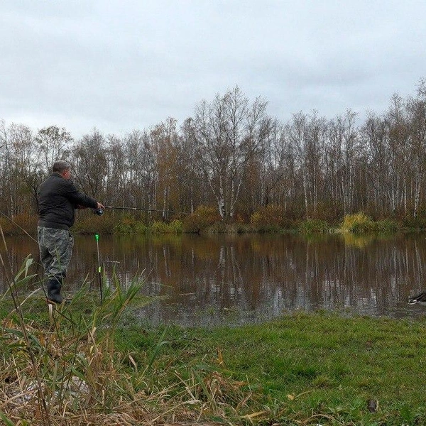 Источник: Павел Глазков / «Каждой твари по паре»