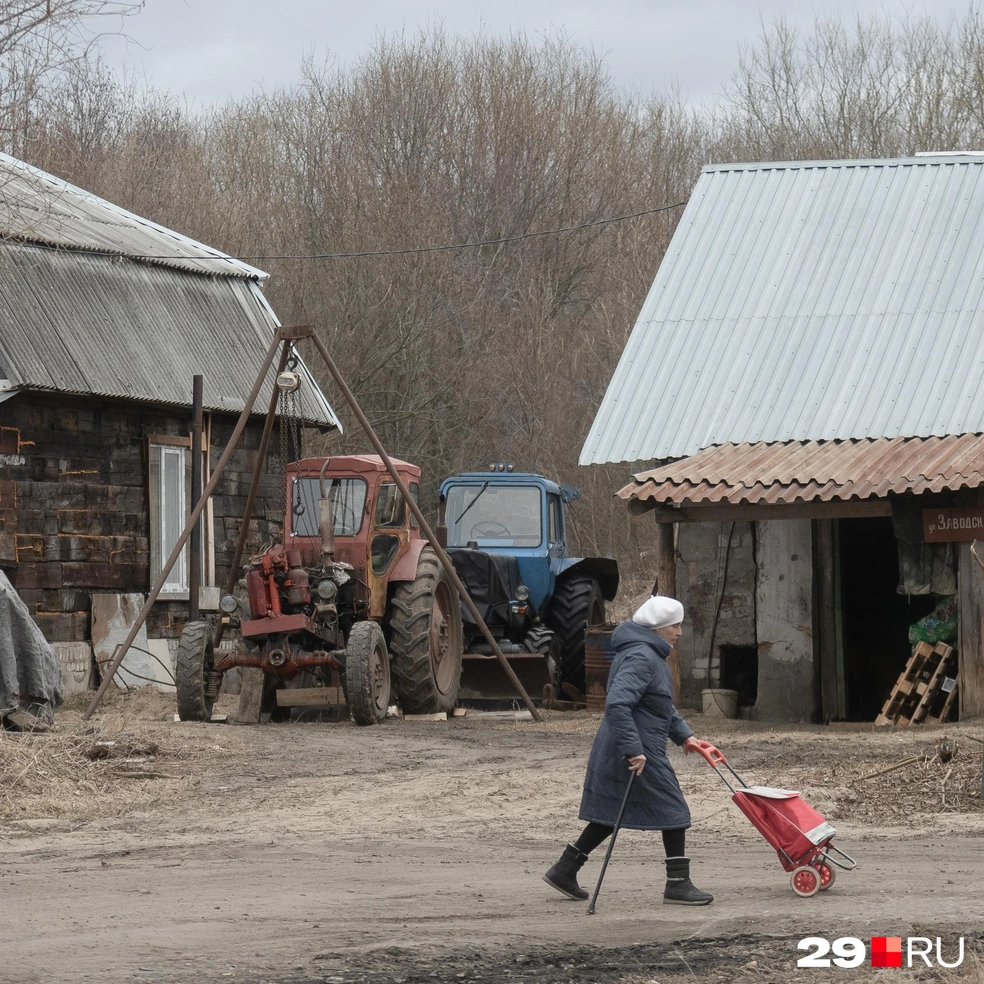 Источник: Иван Митюшёв / 29.RU