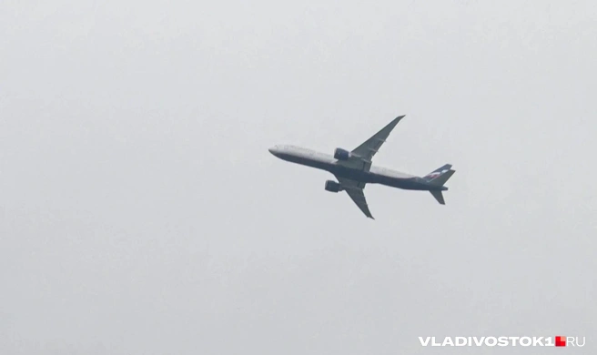 Самолет будет летать в пятницу и воскресенье | Источник: Buyvol_Elena