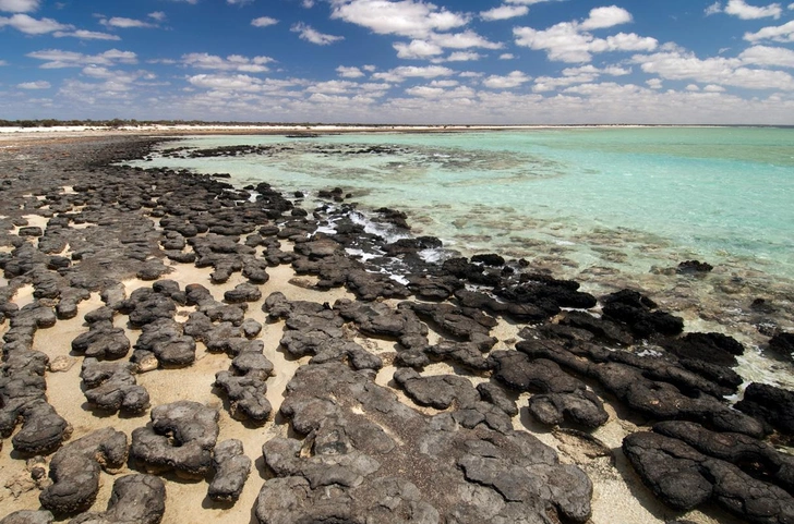 Искусственный интеллект нашел «призрачные» следы древней жизни на Земле