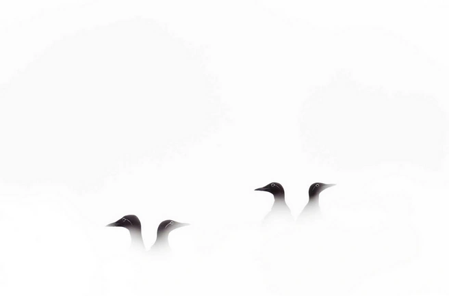 Источник: Jon Andoni Juarez Garcia / European Wildlife Photographer of the Year