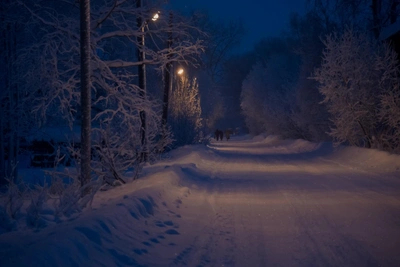 Frost to drop below -30°C in Arkhangelsk Oblast midweek